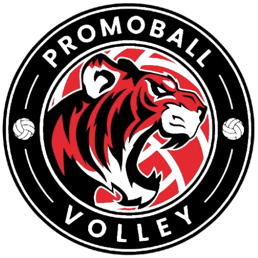Team Badge icon