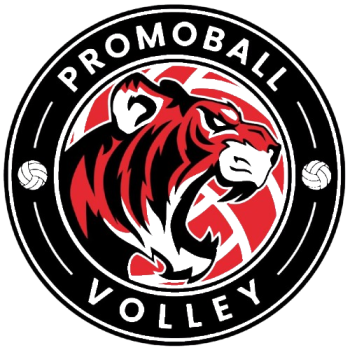 Team Badge