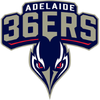 Former team badge icon