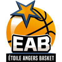 Former team badge icon