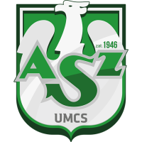 Former team badge icon