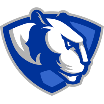 Team Badge