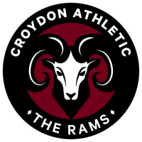 Former team badge icon