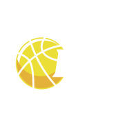 Former team badge icon