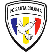 Former team badge icon