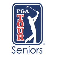 Former team badge icon