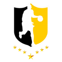 Former team badge icon