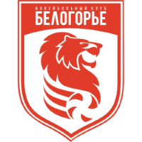 Former team badge icon