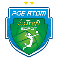 Former team badge icon