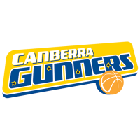 Former team badge icon