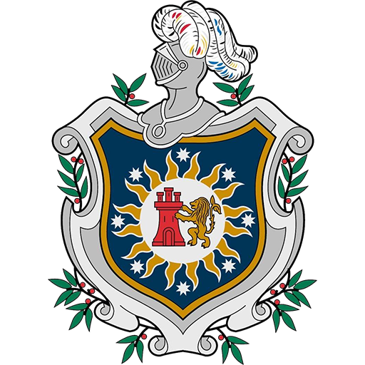 Team Badge icon