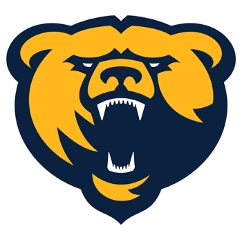 Team Badge
