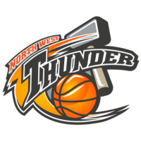 Former team badge icon