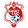 Saint-Luc badge
