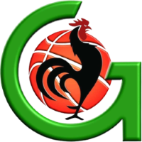 Former team badge icon