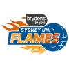Team badge