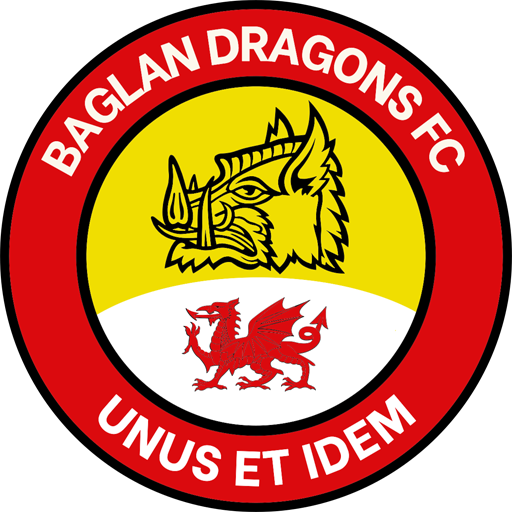 Baglan Dragons 隊徽