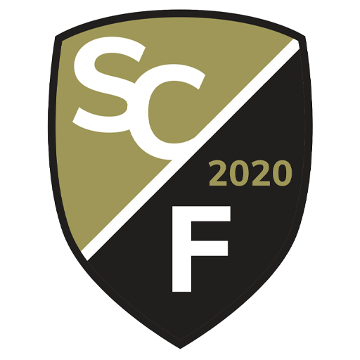 Team Badge icon