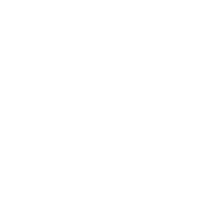 Former team badge icon