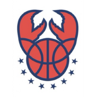 Former team badge icon