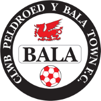 Former team badge icon