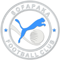 Team Badge