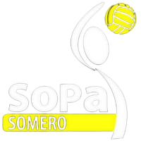 Former team badge icon