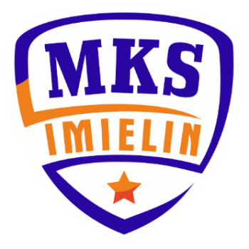 Team Badge