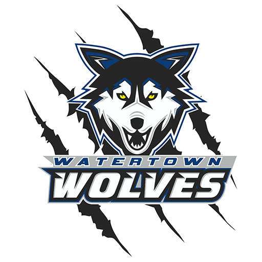 Team Badge icon