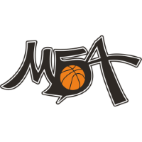Former team badge icon