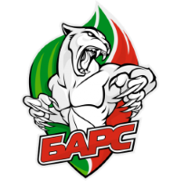 Former team badge icon