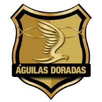 Former team badge icon