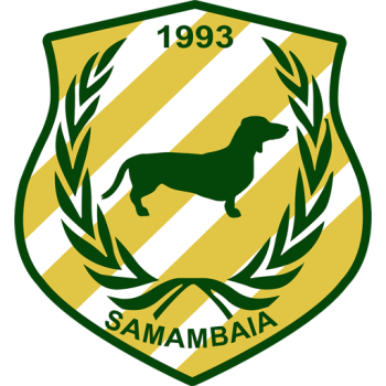 Team Badge