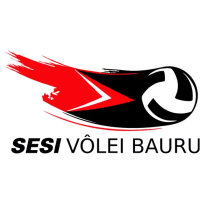 Former team badge icon