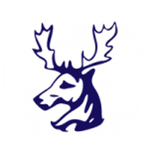 team badge