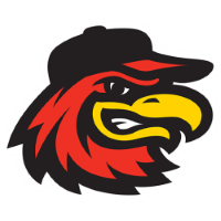 Rochester Red Wings