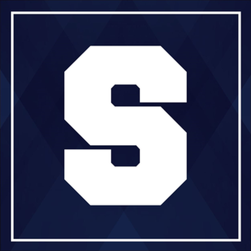 Team Badge icon