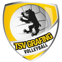 Former team badge icon