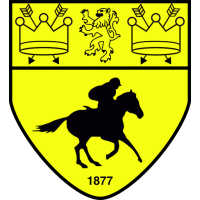 Team Badge