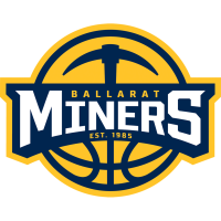Former team badge icon