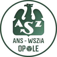 Former team badge icon