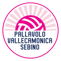 Former team badge icon