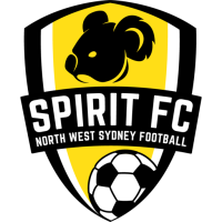 Team Badge
