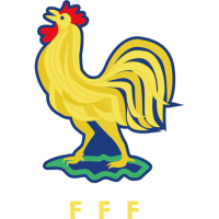 Former team badge icon