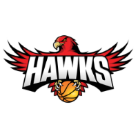 Former team badge icon