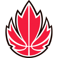 Former team badge icon