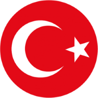 Former team badge icon