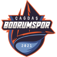 Former team badge icon