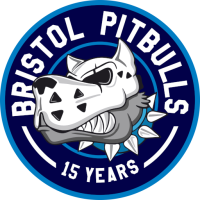 Former team badge icon