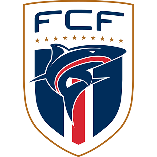 Team Badge icon
